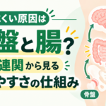 痩せにくい原因は骨盤と腸？腸脳連関から見る太りやすさの仕組み