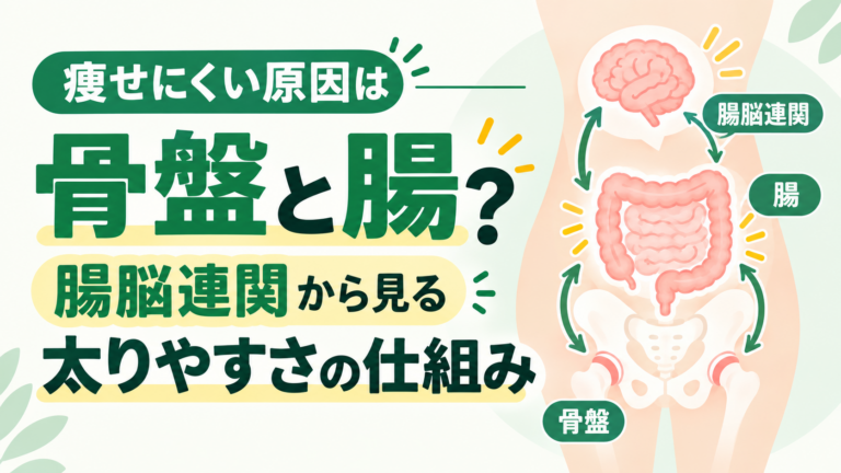 痩せにくい原因は骨盤と腸？腸脳連関から見る太りやすさの仕組み